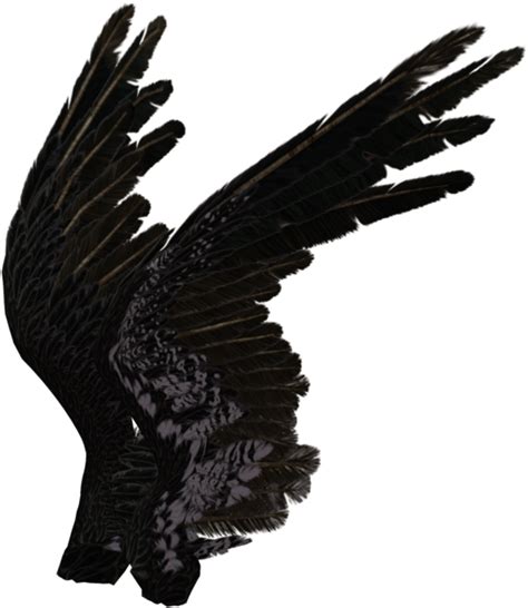 black angel wings png|angel wings side view png.